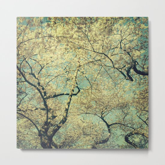 A Wild Peculiar Joy Metal Print
