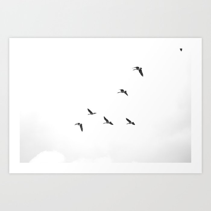 Flock Art Print