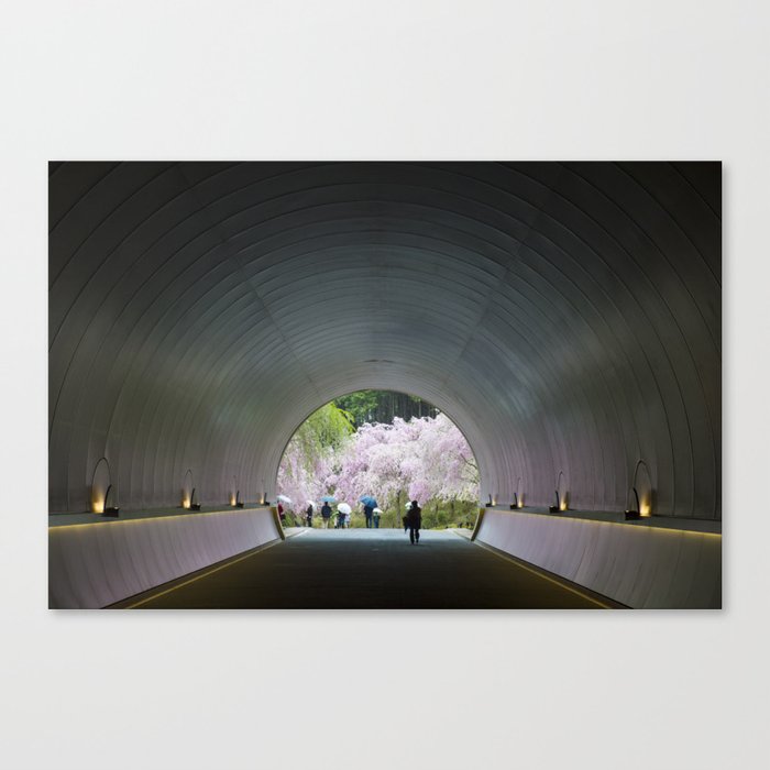Miho Museum Sakura Canvas Print By Jasonhalayko Society6