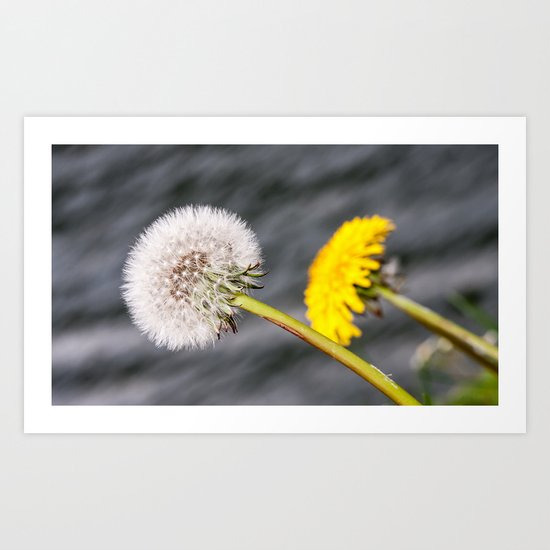 Before and after Art Print