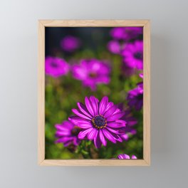 Purple flowers Framed Mini Art Print