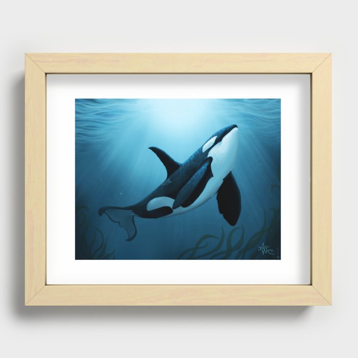 "The Dreamer" by Amber Marine ~ Orca / Killer Whale Art, (Copyright 2015) Recessed Framed Print