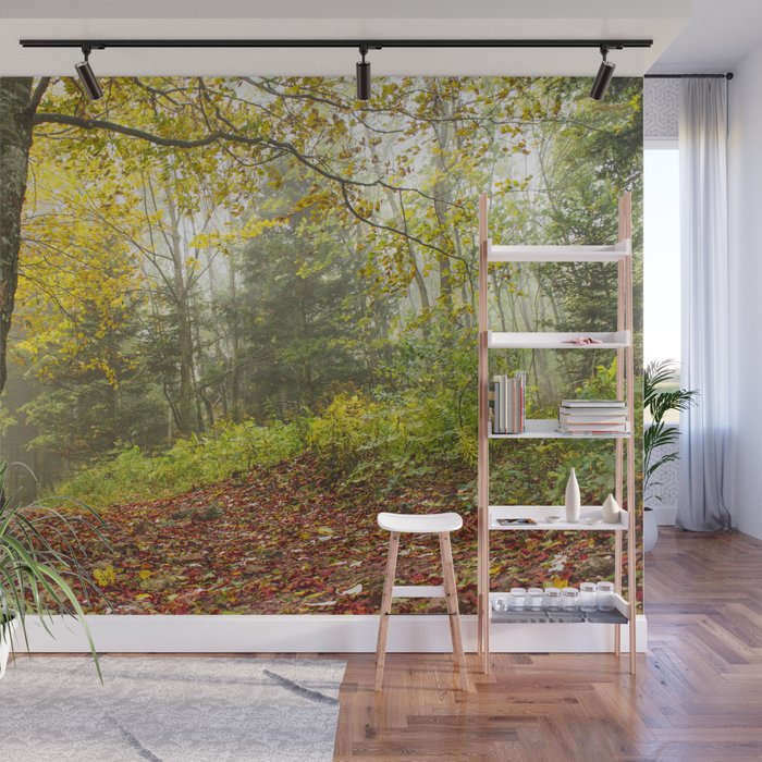 Autumn Forest Trees Wall Mural