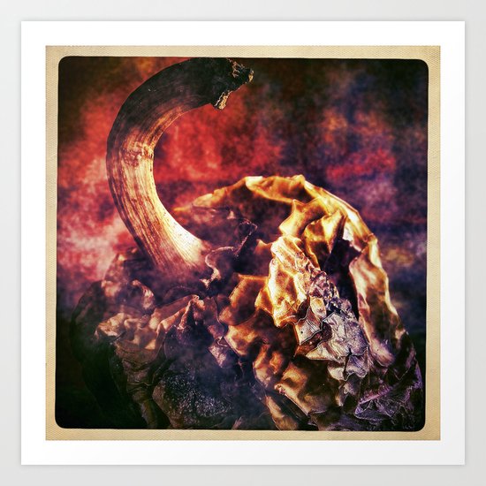 Pepper Art Print