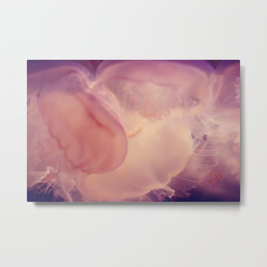 jelly . fish Metal Print