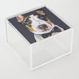 The most elegant dog: Byron Acrylic Box