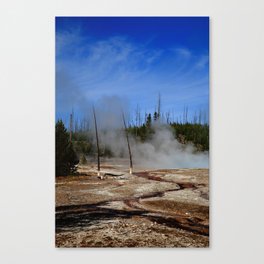 Yellowstone Park - Hot Springs 2009 #5 Canvas Print