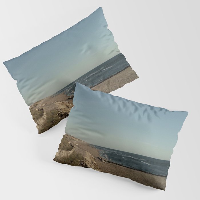 Oceanic landscape : Lacanau  3 Pillow Sham