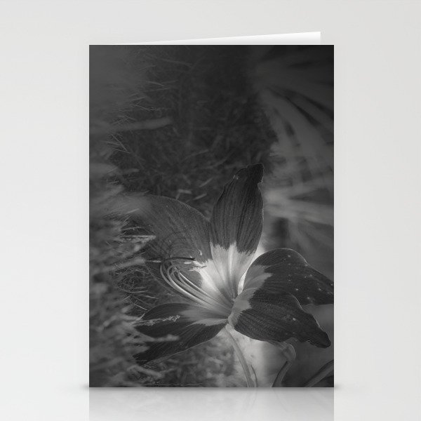 Black & White Flower Stationery Cards