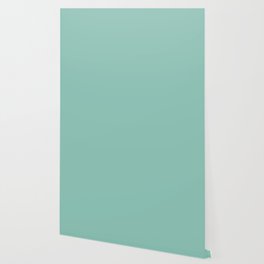 Light Aqua Green Solid Color Pantone Ocean Wave 14-5711 TCX Shades of Blue-green Hues Wallpaper