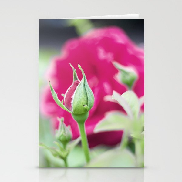 Spring Time Flower Bud Stationery Cards