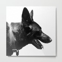 Z dog Metal Print | Black and White, Animal, Photo 