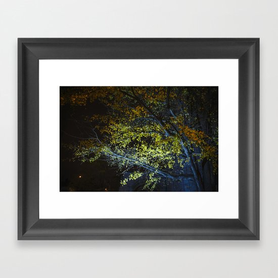 Autumn Tree at Night Framed Art Print