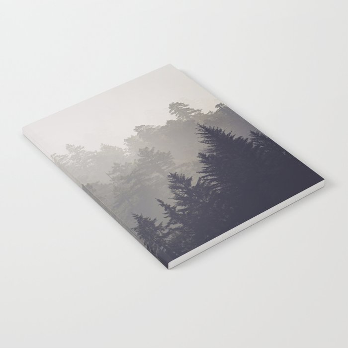 Forest Fadeaway - Redwood National Park Hiking Notebook