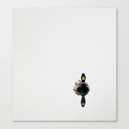 Duck Portrait Canvas Print