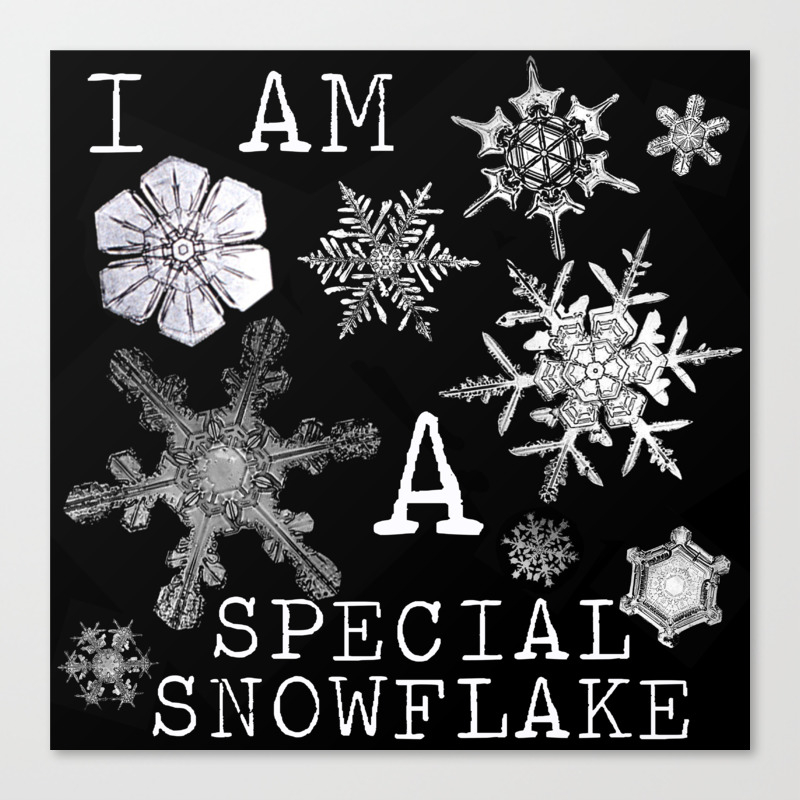 special-snowflake-arb-canvas.jpg