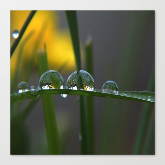 GREEN ART Canvas Print