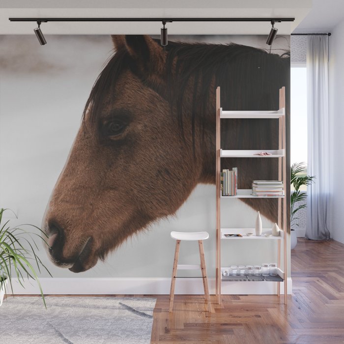 horse by Logan Weaver Wall Mural