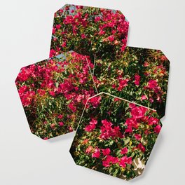 Vintage Flower Festival | Pink Flowers in Bush | Nature & Travel Photography Coaster