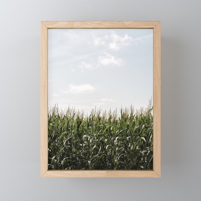 Summer sky over cornfield - fine art photo print shot in The Netherlands Framed Mini Art Print