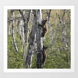 Climbing the Tree Art Print | Blackbear, Fur, Adorable, Green, Color, Bears, Wildanimal, Photo, Brown, Trees 