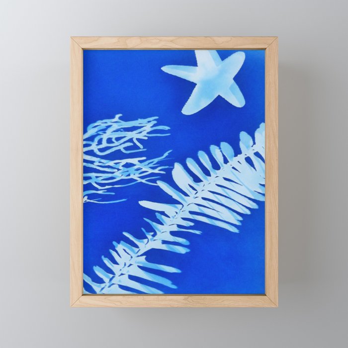 sea star nature print Framed Mini Art Print