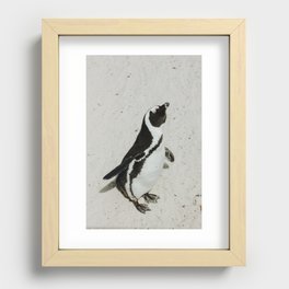 Penguin II Recessed Framed Print
