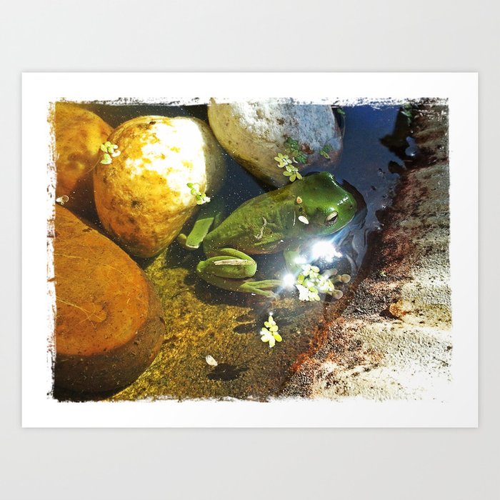 Frog in a Fountain Art Print