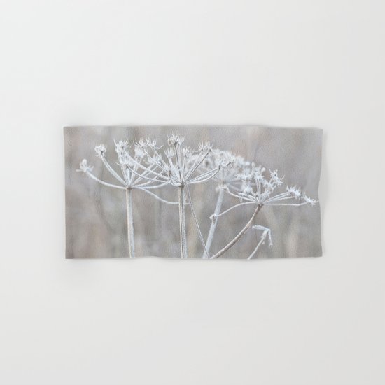 cow parsley plant with hoarfrost in winter Hand & Bath Towel