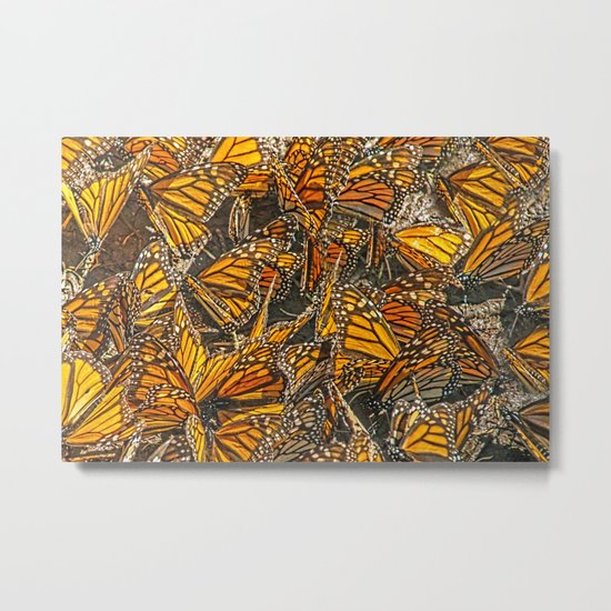 FLIGHT PATTERNS Metal Print