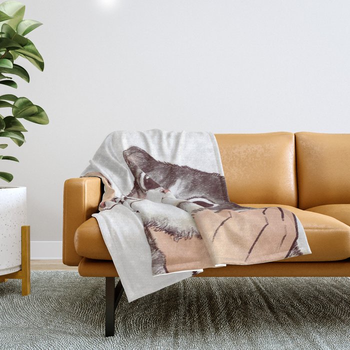 Kitten hotsell throw blanket