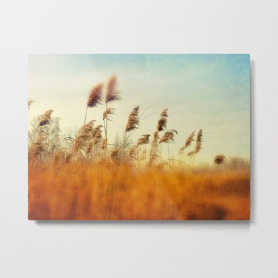 Free Your Mind Metal Print