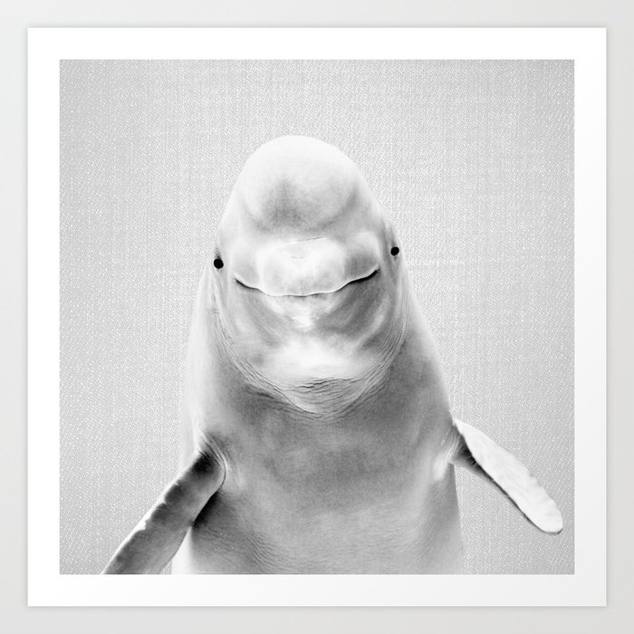 Beluga Whale - Black & White Art Print