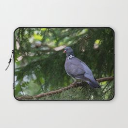 Wood Pigeon on a fir branch in the forest Laptop Sleeve