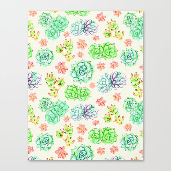 Succulents Canvas Print