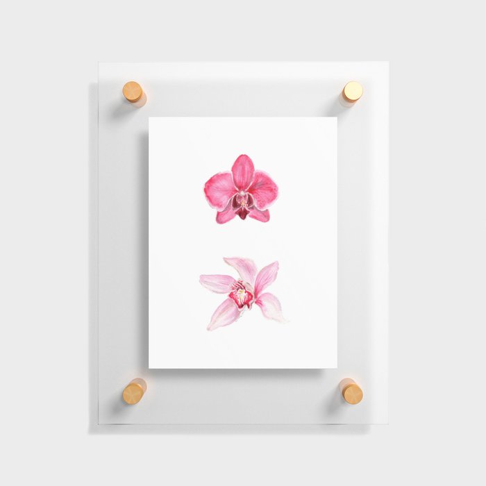 Pink Orchids Floating Acrylic Print