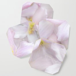 Soft Flora Coaster | Digital, Flowers, Petal, Flower, Photo, Pink, Nature, Etals, Color, Natural 