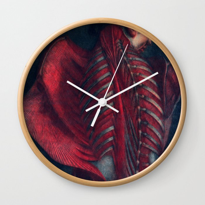 Anatomy Art Back Rib Muscle Dark Art Gothic Home Decor Gothic