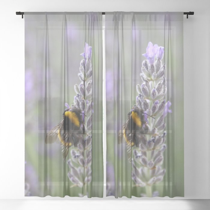 Bumblebee On Lavender Close Up Photograph Sheer Curtain