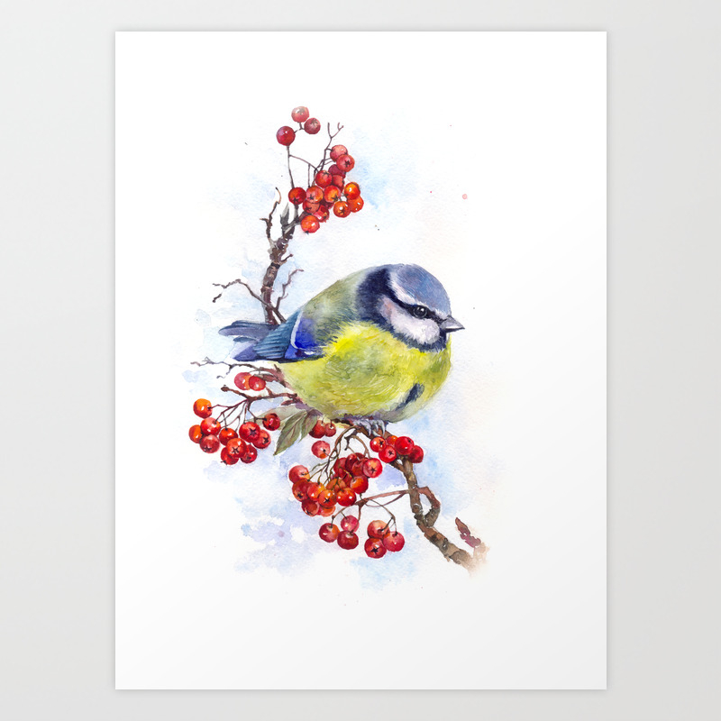 Blue tit watercolor painting 0157 bird watercolor painting 5x7 inch print
