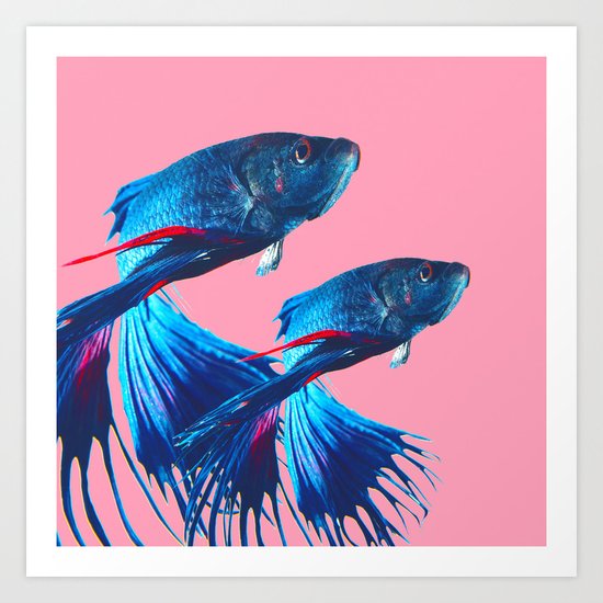Betta fish Art Print