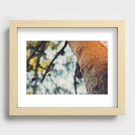 Crying Spring Recessed Framed Print