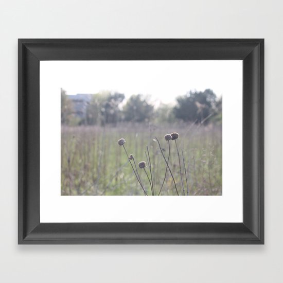 Dew Framed Art Print