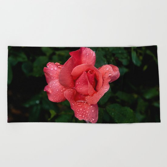 A rose after the rain Beach Towel