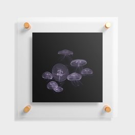 Moon Jellyfish XI Floating Acrylic Print