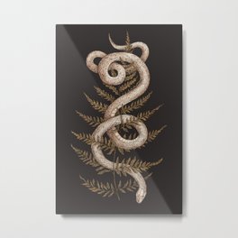 The Snake and Fern Metal Print | Ferns, Plants, Snake, Leaves, Albino, Fern, Scientific, Curated, Dark, Drawing 