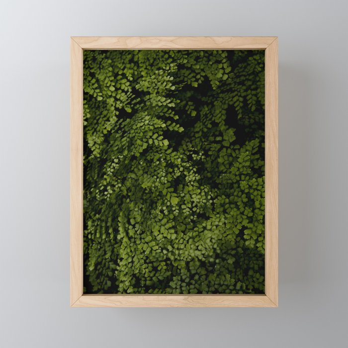 Small leaves Framed Mini Art Print