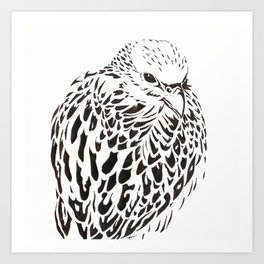 Gyrfalcon (Falcon) Art Print