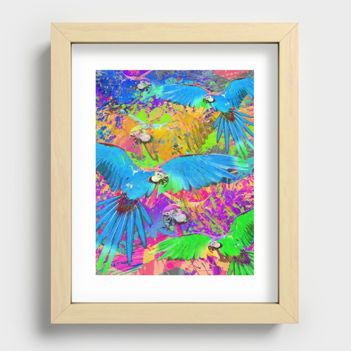 Macaw Fiesta  Recessed Framed Print