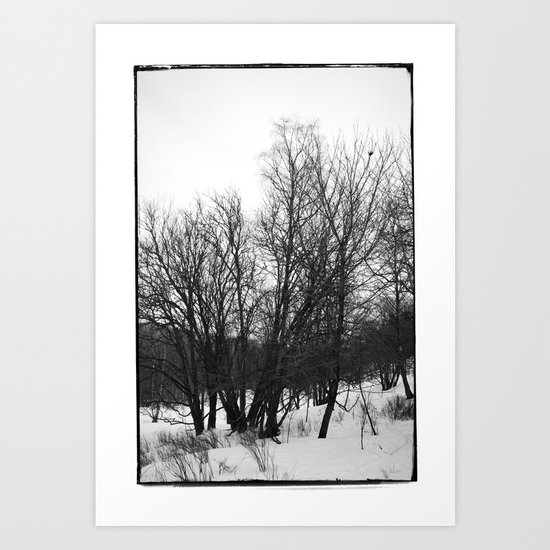 Norwegian forest VI Art Print